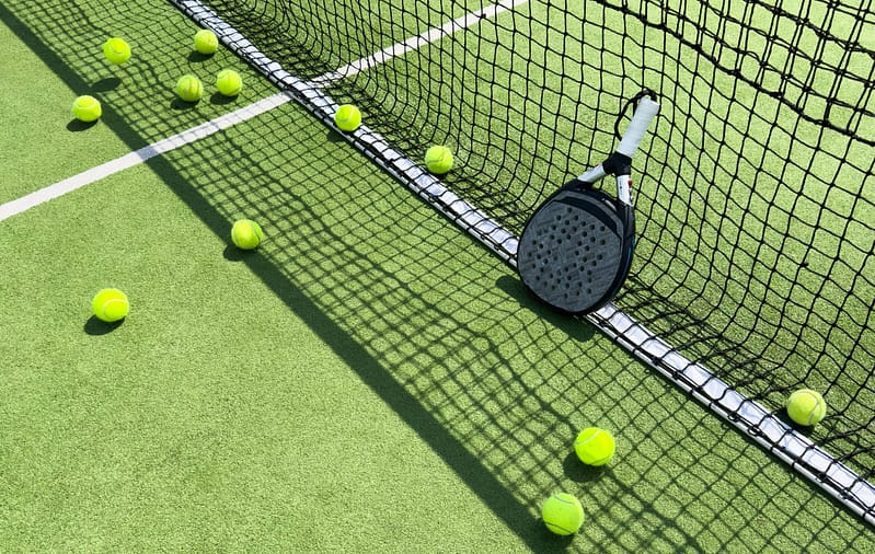 Smaller sports governing body board portal